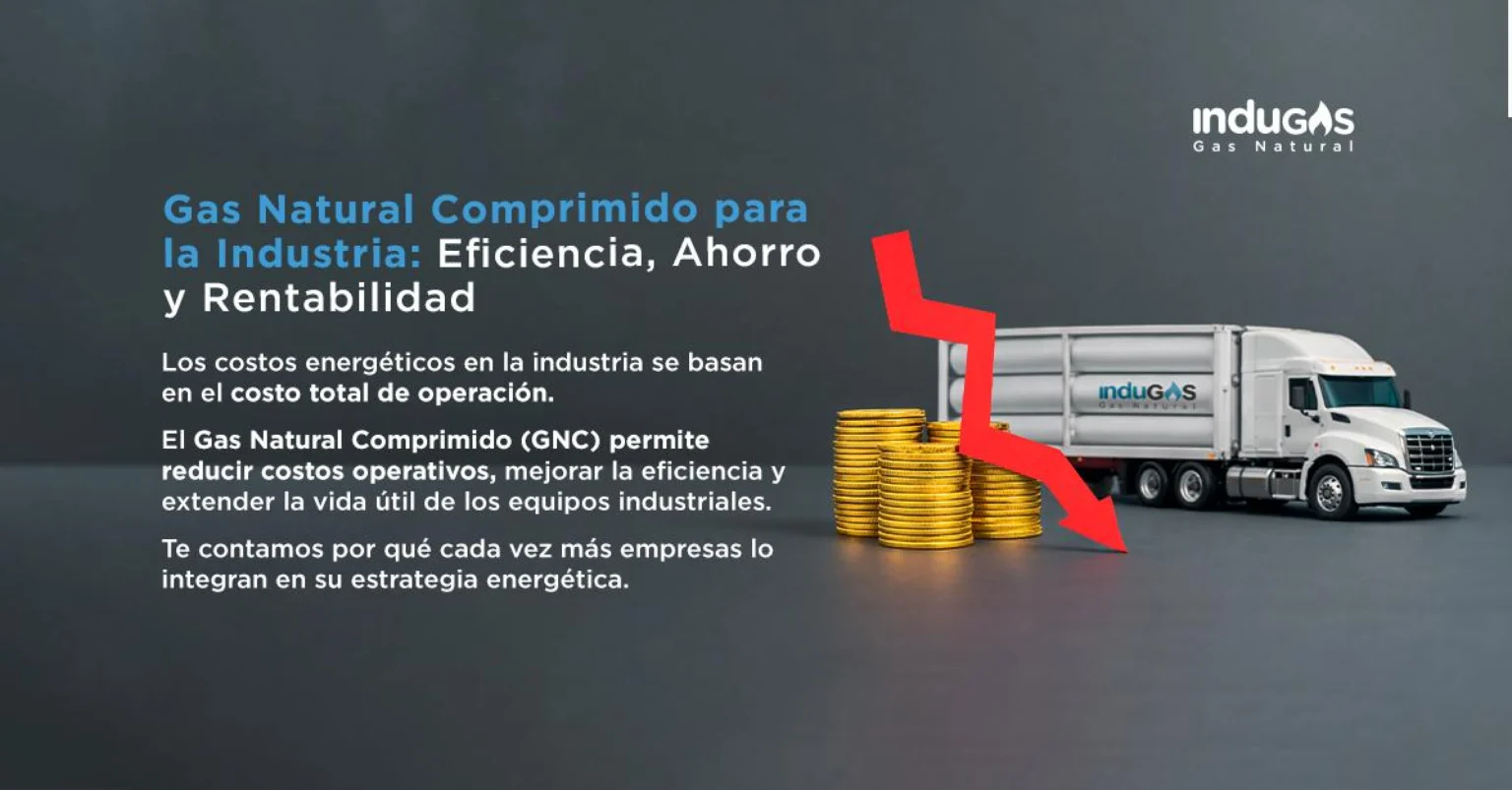 Gas Natural Comprimido para la Industria: Eficiencia, Ahorro y Rentabilidad